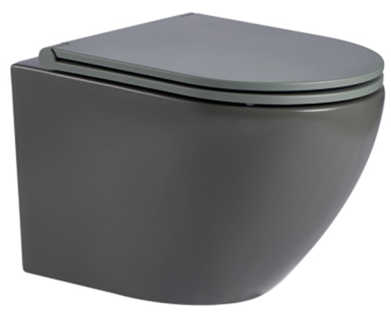 AQM2002MGR Унитаз подвесной с сиденьем SoftClose, технология смыва Rimless, скрыт.крепеж. Цвет серый